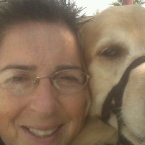 Meet your Posher, Rose